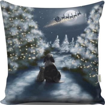 ASIR Dekoračný vankúš SOBI 43 cm polyester-bavlna obrázok