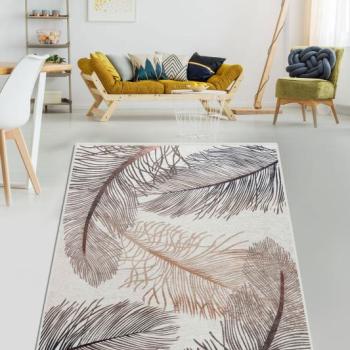 ASIR Koberec 100 x 200 FEATHER viac farieb obrázok