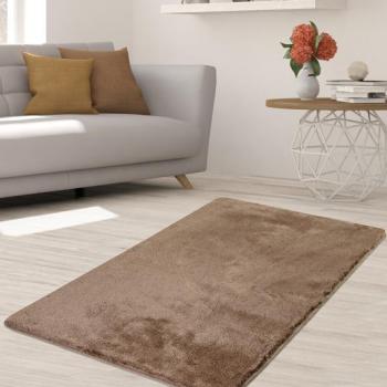ASIR Koberec 80 x 140 MILANO hnedý obrázok