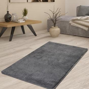 ASIR Koberec 80 x 140 MILANO sivý obrázok