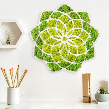 ASIR Nástenná dekorácia z machu SLNKO 44 cm MDF obrázok