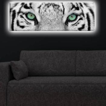 ASIR Obraz na plátne s LED podsvietením BIELY TIGER 30 cm obrázok