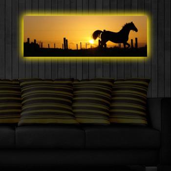 ASIR Obraz na plátne s LED podsvietením KÔŇ 30 cm obrázok