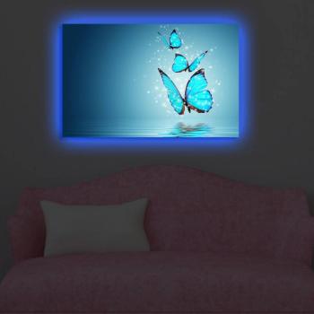 ASIR Obraz na plátne s LED podsvietením MOTÝLE 45 cm obrázok