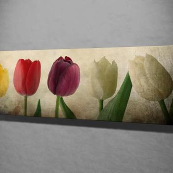 ASIR Obraz na plátne TULIPÁN 42 cm obrázok