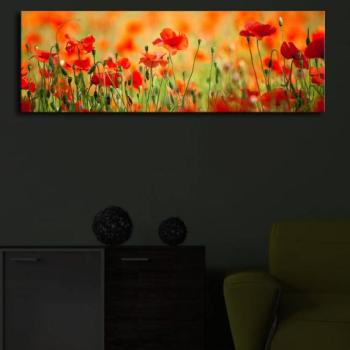 ASIR Obraz na plátne VLČIE MAKY s LED podsvietením 30 cm obrázok