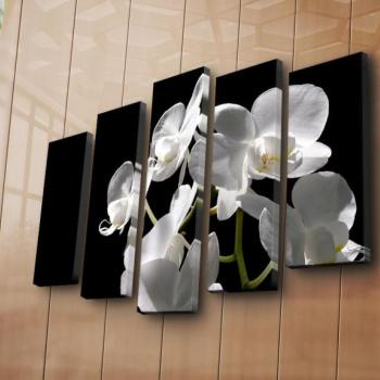 ASIR Súbor nástenných obrazov na plátne BIELA ORCHIDEA 105 cm obrázok