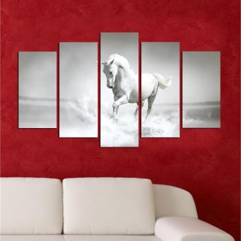 ASIR Súbor obrazov BIELY KÔŇ 110 cm MDF obrázok