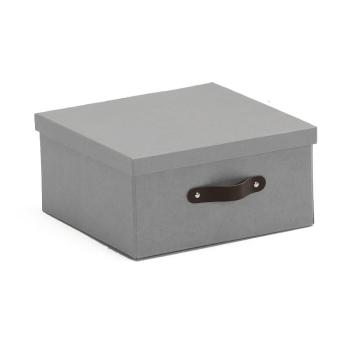 Úložná krabica TIDY, 155x315x315 mm obrázok
