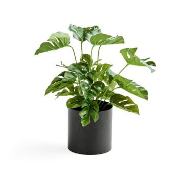 Umelá rastlina: Monstera, 300 mm, čierny oceľový kvetináč obrázok