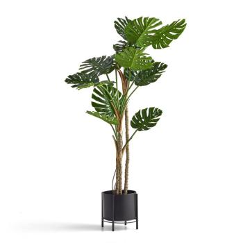 Umelá rastlina Monstera, výška 1800 mm, vrátane čierneho oceľového kvetináča na stojane obrázok